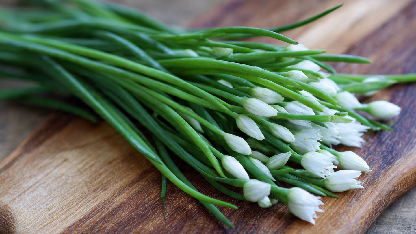 Can You Grow Garlic Chives Fast for an Abundant Harvest?