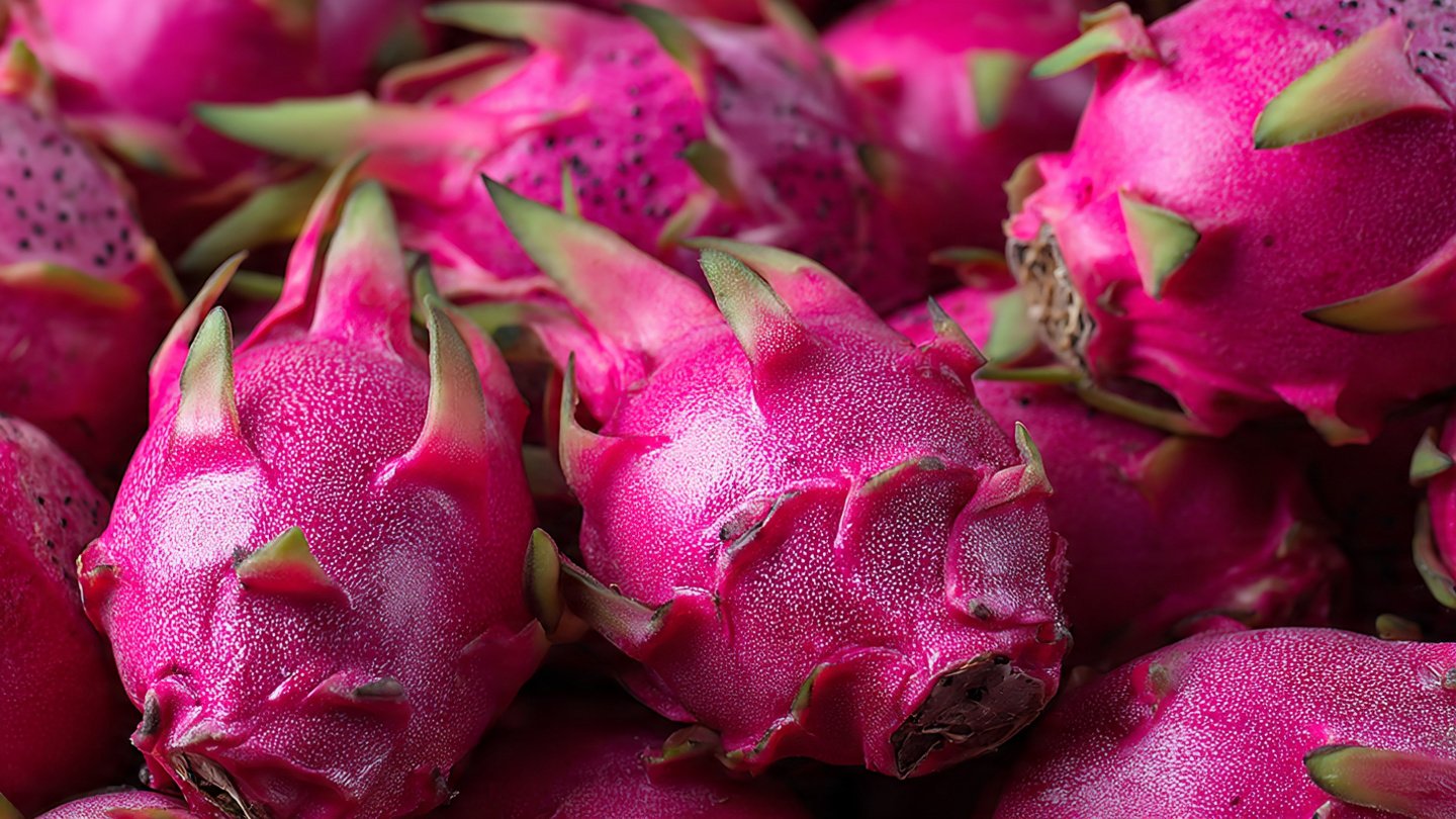 How to Create the Perfect Dragon Fruit Soil Mix: A Comprehensive Guide