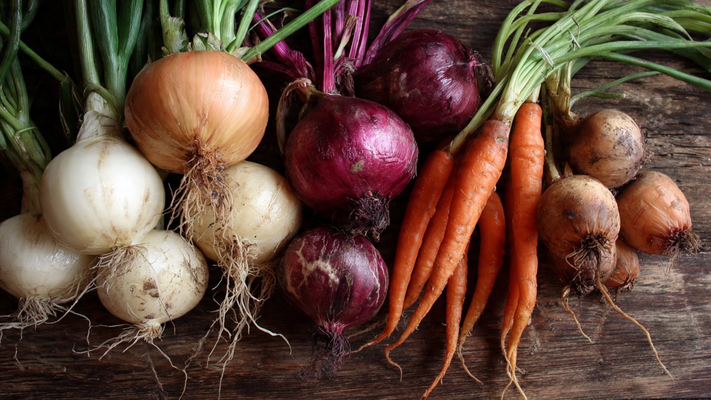 Discover Why Your Vegetable Roots Have a Foul Odor