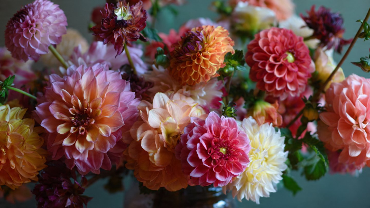 How Can You Extend the Life of Your Cut Flowers for Two Weeks?